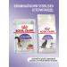 ROYAL CANIN Dry food for sterilized cats Sterilized 37 2kg - Buy Online on GoSupps.com