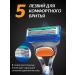 Male razor for shaving beard - Buy Online on GoSupps.com