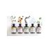 Davines Purifying shampoo against dandruff 250 ml - Buy Online on GoSupps.com