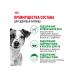 ROYAL CANIN Dry food for dogs of small breeds Mini Adult (Mini Edalt) 8kg - Buy Online on GoSupps.com