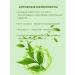 dreamer Green tea extract - Buy Online on GoSupps.com