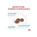 Royal Canin Veterinary Diet Feed for castrated cats dietary 1.5 kg. x 2 pcs - Buy Online on GoSupps.com