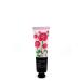 PN95 Set of hand creams 5pcs - Buy Online on GoSupps.com