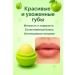 ac3493 Nourishing lip balm - Buy Online on GoSupps.com