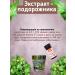 biolite Plantain extract (BAD) 75 ml - Buy Online on GoSupps.com
