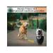 Electronic collar for dogs Amazin Trainer Pet 613 - Buy Online on GoSupps.com