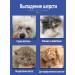 Shampoo and air conditioning for dogs 300 ml - Buy Online on GoSupps.com