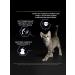 PRO PLAN Dry food for kittens chicken 400 g x 2 pcs - Buy Online on GoSupps.com