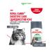 ROYAL CANIN Feed for cats with digestive disorders 400 gr. x 2 pcs