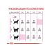 ROYAL CANIN Dry food for fastidious cats bird 400 gr. x 2 pcs - Buy Online on GoSupps.com