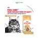 ROYAL CANIN Dry food for cats by main-kun bird 2 kg. x 2 pcs