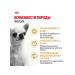 ROYAL CANIN Dry food for dogs of the chihuahua bird 500 g 2 pcs - Buy Online on GoSupps.com