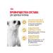 ROYAL CANIN Dry food for dogs of the chihuahua bird 500 g 2 pcs - Buy Online on GoSupps.com