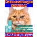 Drops for the eyes of dogs and cats 60 ml*2