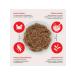 Inaba Wet food for cats tuna with surimi crab 60 g 24 pcs - Buy Online on GoSupps.com