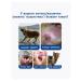 Ear drops for dogs and cats 200ml - Buy Online on GoSupps.com