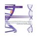 sesderma SESGEN 32 Cell Activating Serum - Cell Activator Serum 30 ml - Buy Online on GoSupps.com