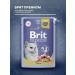 Brit Wet feed Premium for cats trout in jelly 85 g 4 pcs - Buy Online on GoSupps.com