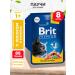 Brit Wet feed Premium for cats salmon trout 85 g 8 pcs