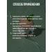round lab A soothing cream with wormwood 80 ml - Buy Online on GoSupps.com