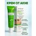 Ananaska2 Face cream against acne and acne rash