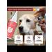 Drops for dogs purulent otitise 60 ml - Buy Online on GoSupps.com