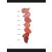 Facial blush liquid Hourglass Unreal in Vision shade - Buy Online on GoSupps.com