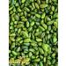 NUTRAJ Emerald pistachios blanched 100g - Buy Online on GoSupps.com