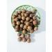 Macadamia walnut 1 kg in a shell with a key - Buy Online on GoSupps.com