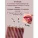 PN95 Set of lip pencils 12 pcs - Buy Online on GoSupps.com