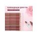 Vlar BEAUTY Set of lip pencil matte 12 pieces