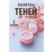 NaKuSKa Eye shadows tone 4