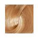 Estel Professional Paint 10 13 Light blond ash-gold. Essex Princess - Buy Online on GoSupps.com