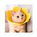 Collar for sterilization of cats yellow sunflower XS