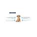 Advance Mini Light Dry food for dogs 1.5 kg - Buy Online on GoSupps.com