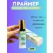 INDD1 The basis of makeup primer