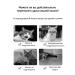 xie de yuan Antisex drops for cats and male 50 ml - Buy Online on GoSupps.com