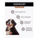 Miratorg animal feed Dry food for large-breed puppies 10 kg super-premium - Buy Online on GoSupps.com