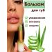 Ant 1 Lip balm hygienic lipstick moisturizing