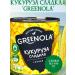 GREENOLA Sugar corn in grains 2 banks of 400 grams