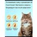 Spray from cutting lichen for dogs and cats 100 ml - Buy Online on GoSupps.com