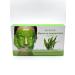 ShaStyle1 Facial face mask - Buy Online on GoSupps.com