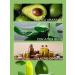Faradeya lip balm hygienic lipstick - Buy Online on GoSupps.com