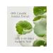 Beauty Choson Centella Asian vitamin essence 30 ml - Buy Online on GoSupps.com