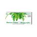 LekraSet stevia leaves 1.5 n20 f p - 2pcs - Buy Online on GoSupps.com