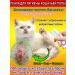 Dry foam for washing cats without water 200 ml