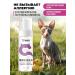 Sphinx shampoo for non -performed and short -haired cats - Buy Online on GoSupps.com