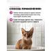 Sphinx shampoo for non -performed and short -haired cats - Buy Online on GoSupps.com