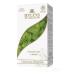 HYLEYS Green tea with mint 2 packages of 25 bags - Buy Online on GoSupps.com