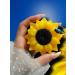 FRAU ALKEN Soap - sunflower (6 sets) fragrant - Buy Online on GoSupps.com